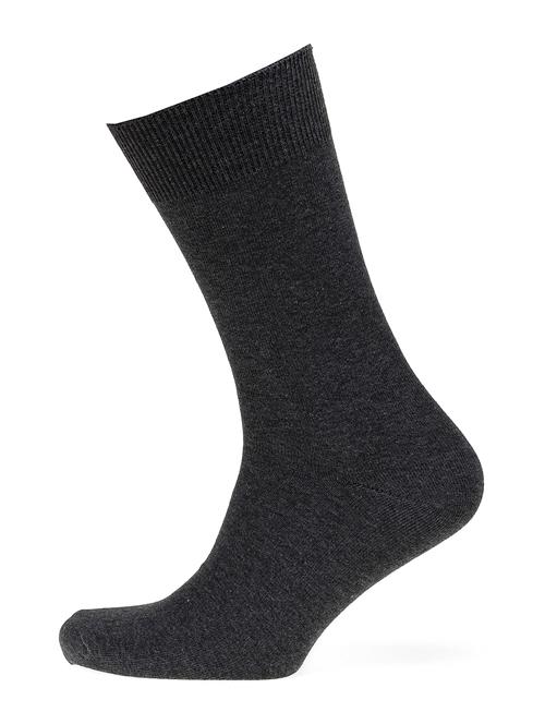 Claudio Claudio Socks Solid Colours Claudio Grey