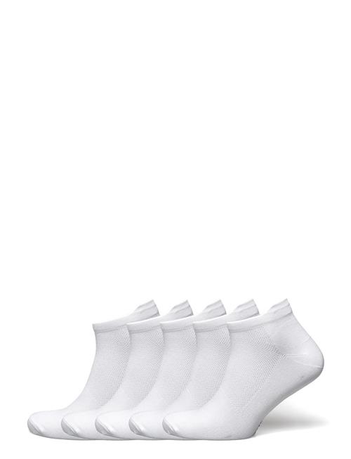 ZEBDIA 5-Pk Ancle Running Socks ZEBDIA White