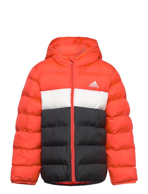 J Sd Jkt Adidas Sportswear Orange