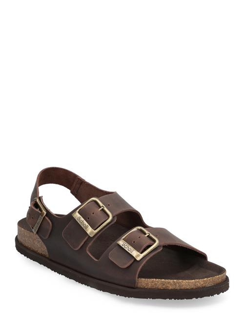 Scholl Sl Gaston Leather Dk Brown Scholl Brown