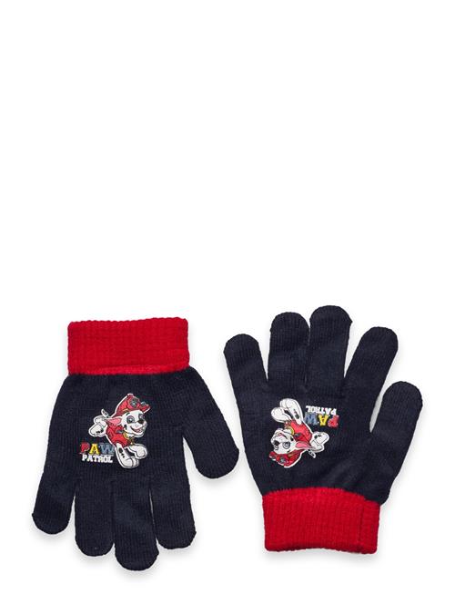 Se Paw Patrol Glovers Paw Patrol Navy ved Booztlet