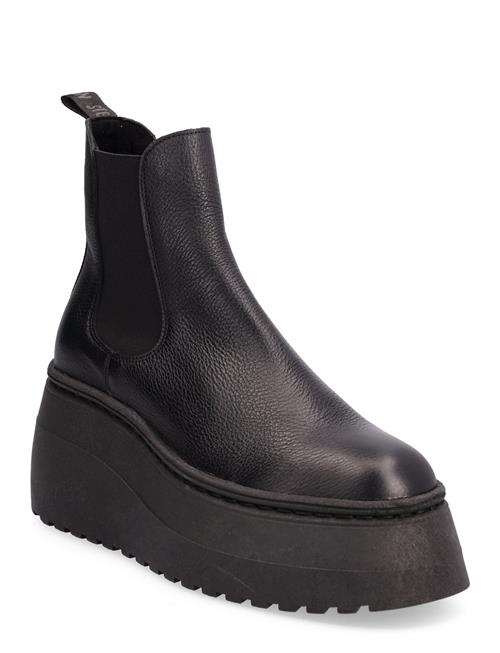 Pegasus Bootie Steve Madden Black