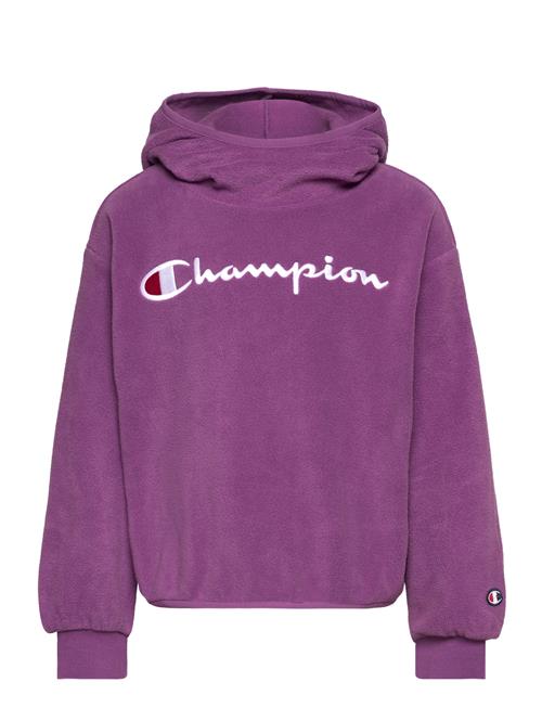 Champion Hooded Sweatshirt Champion Purple