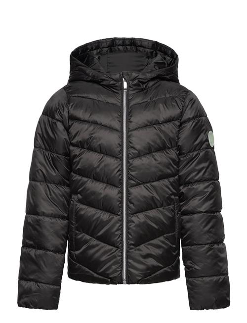 Se Kids Only Kogtalla Quilted Jacket Otw Kids Only Black ved Booztlet