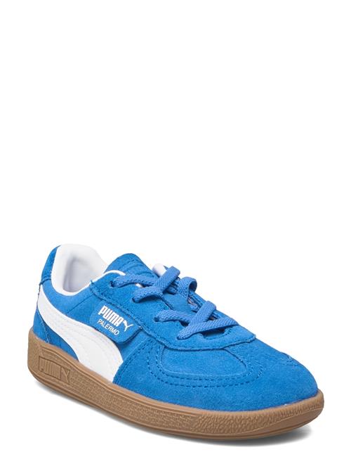 Se PUMA Palermo Ac Inf PUMA Blue ved Booztlet