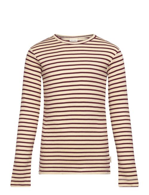 Petit Piao T-Shirt L/S Modal Striped Petit Piao Brown