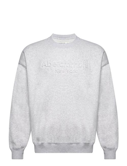 Se Abercrombie & Fitch Anf Mens Sweatshirts Abercrombie & Fitch Grey ved Booztlet