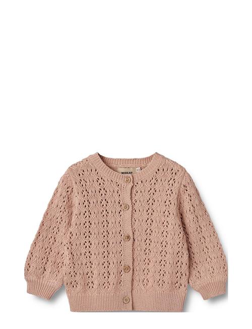 Knit Cardigan Celia Wheat Pink