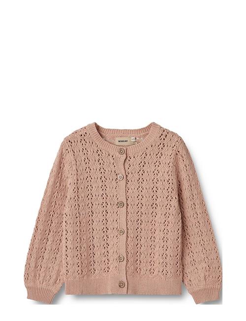 Wheat Knit Cardigan Celia Wheat Pink