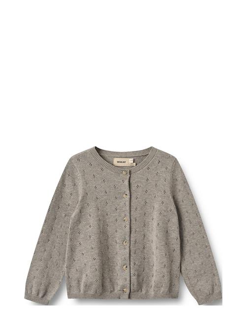 Wheat Knit Cardigan Maia Wheat Grey