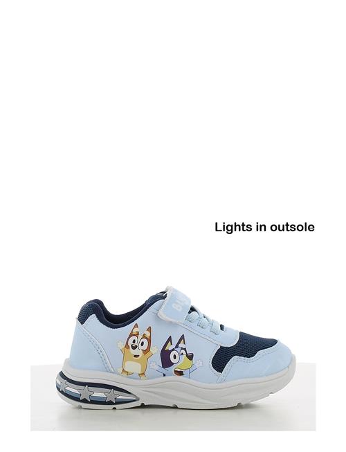 Leomil Bluey Sneaker Leomil Blue