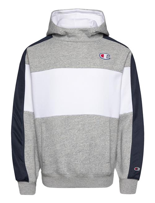 Champion Hooded Sweatshirt Champion Grey