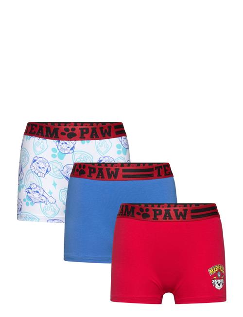 Paw Patrol Boxer Paw Patrol Patterned