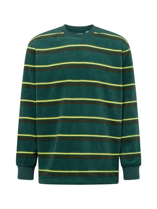 LEVI'S ® Sweatshirt 'Sherpa Crewneck Sweatshirt'  lemon / oliven / mørkegrøn