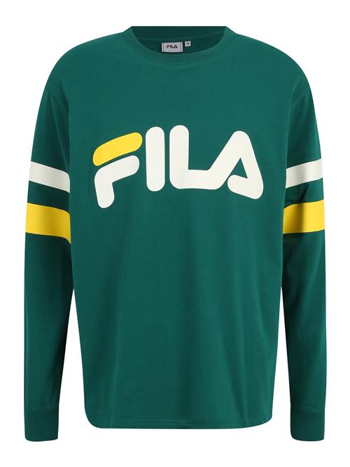 FILA Sweatshirt 'LUOHE'  gul / grøn