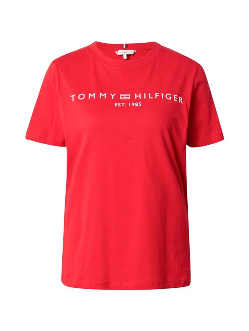 TOMMY HILFIGER Shirts  rød / hvid