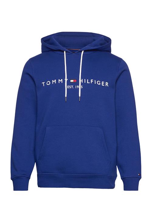 Tommy Hilfiger Tommy Logo Hoody Tommy Hilfiger Blue