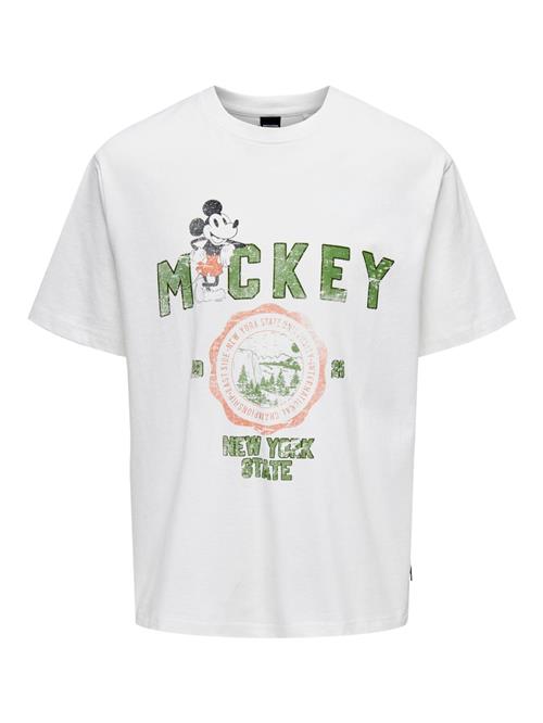 Only & Sons Bluser & t-shirts 'MICKEY'  grøn / orange / sort / hvid