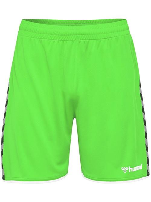 Hummel Sportsbukser 'Poly'  neongrøn / sort