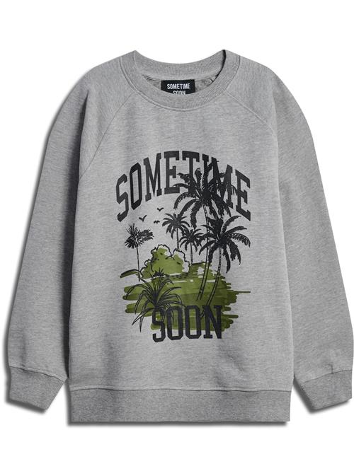 SOMETIME SOON Sweatshirt  grå / grøn / sort