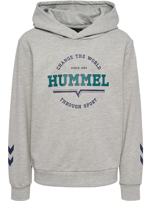 Hummel Sweatshirt 'Asher'  blå / grå-meleret / grøn