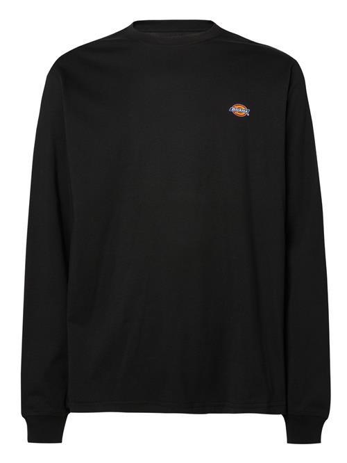 DICKIES Bluser & t-shirts 'Mapleton'  blå / gul / rød / sort