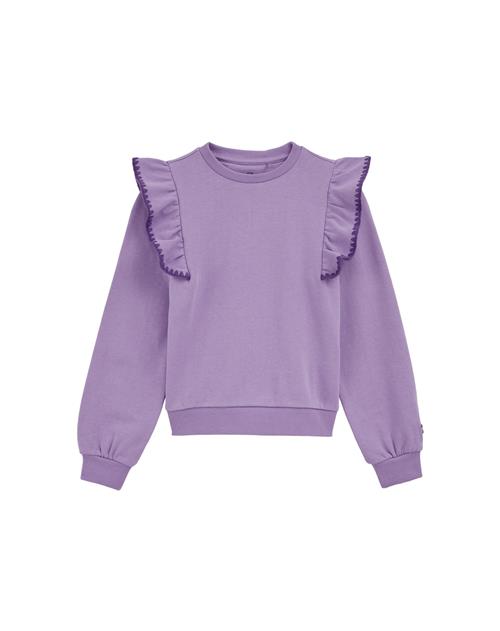 WE Fashion Sweatshirt  lilla