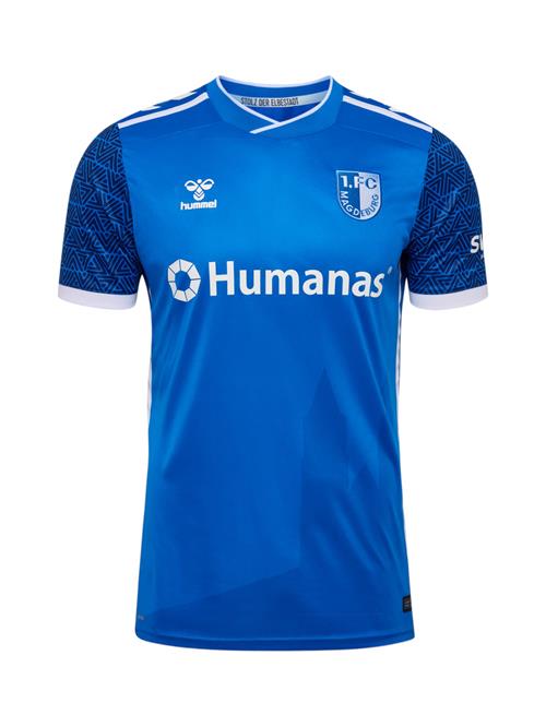 Hummel Fodboldtrøje '1. FC Magdeburg 2024/2025'  blå / hvid