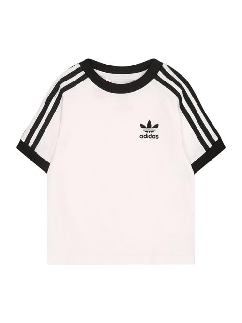 ADIDAS ORIGINALS Shirts  sort / hvid