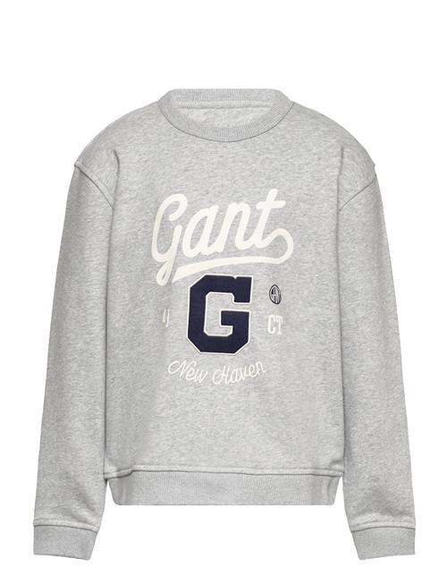 GANT Relaxed Graphic Sweat C-Neck GANT Grey