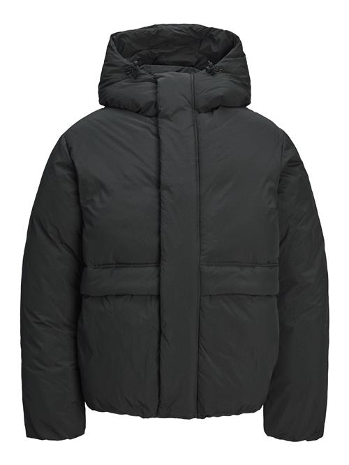 JACK & JONES Vinterjakke  sort