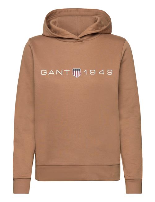 GANT Reg Printed Graphic Hoodie GANT Brown