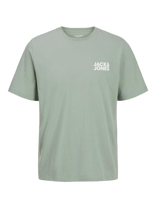 JACK & JONES Bluser & t-shirts  pastelgrøn / hvid