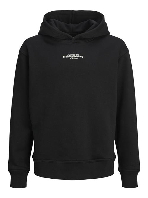 Jack & Jones Junior Sweatshirt  grå / sort / hvid