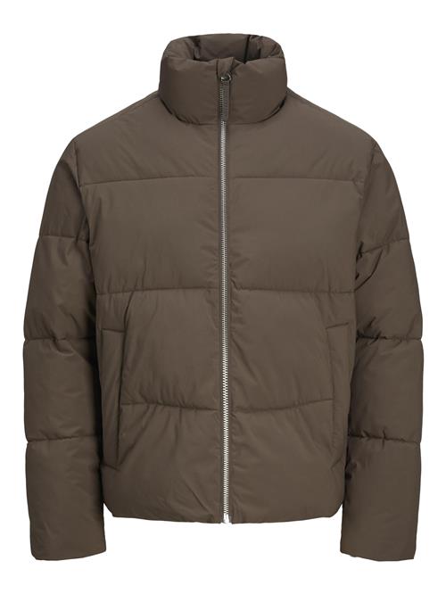 JACK & JONES Overgangsjakke  brun