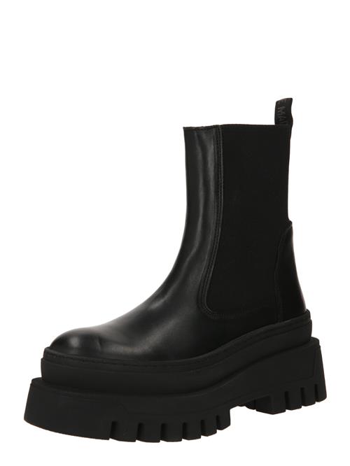 STEVE MADDEN Chelsea Boots 'CASSANDRA'  sort