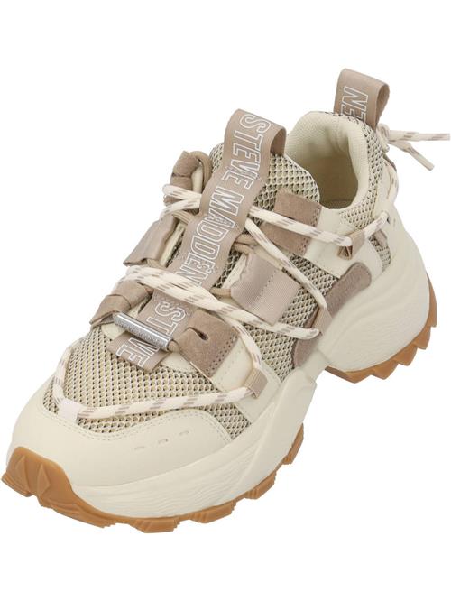 STEVE MADDEN Sneaker low 'Tazmania'  beige / mørkebeige / hvid