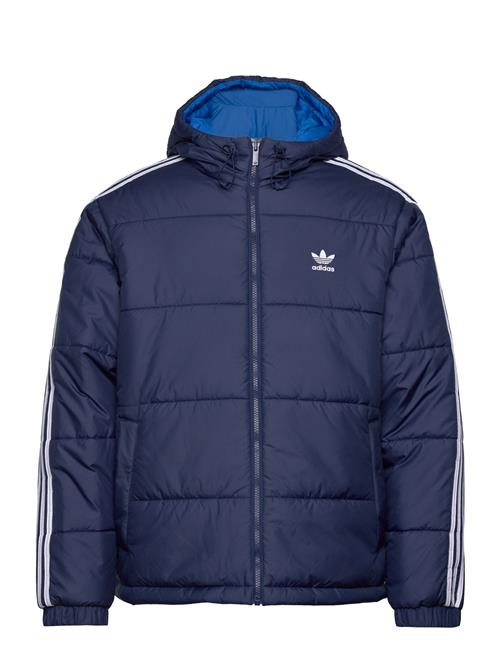 adidas Originals Adic Rev Jkt Adidas Originals Navy