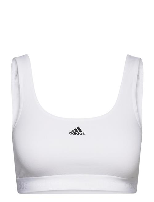 adidas Underwear Bustier Adidas Underwear White