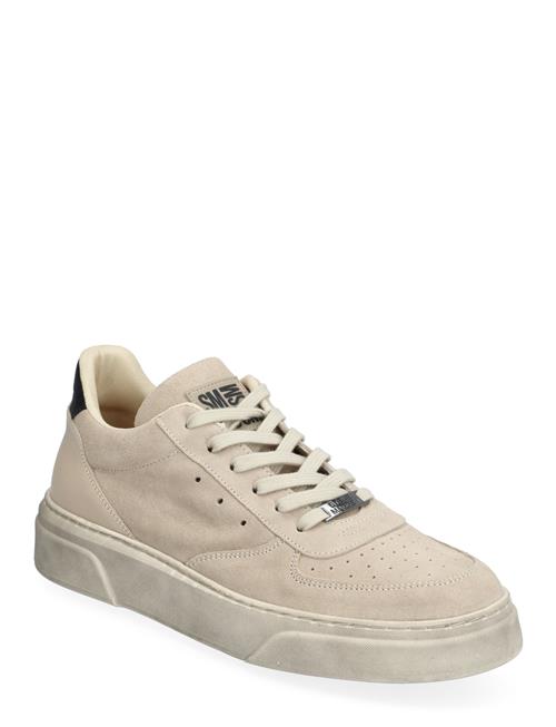 Brent Sneaker Steve Madden Beige