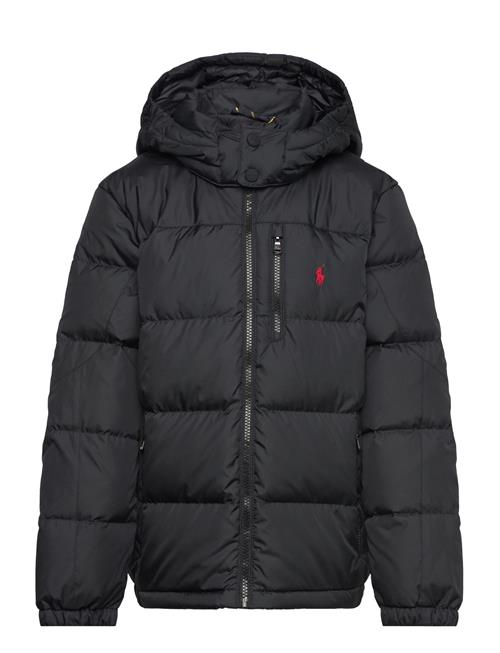 Ralph Lauren Kids Ripstop Down Hooded Jacket Ralph Lauren Kids Black