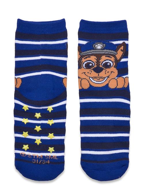 Paw Patrol Socks Paw Patrol Blue