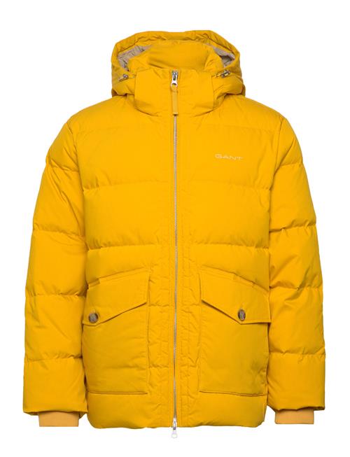 GANT Alta Down Jacket GANT Yellow