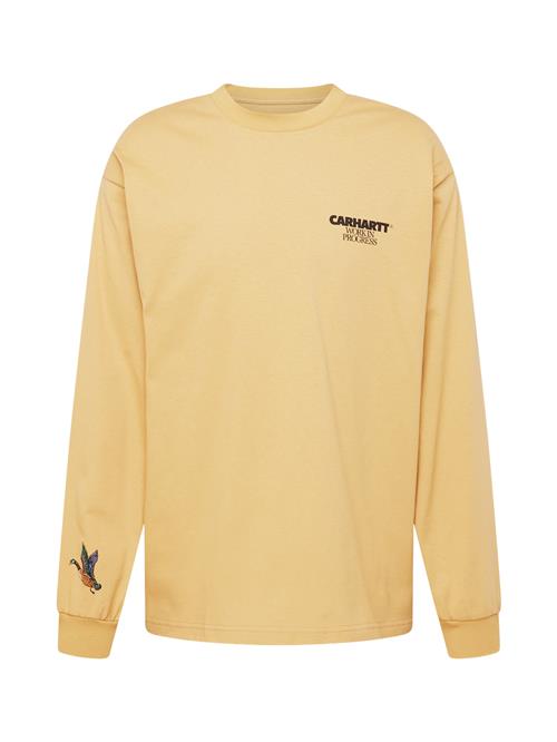 Carhartt WIP Bluser & t-shirts 'Ducks'  chamois / lyseblå / brun / grøn