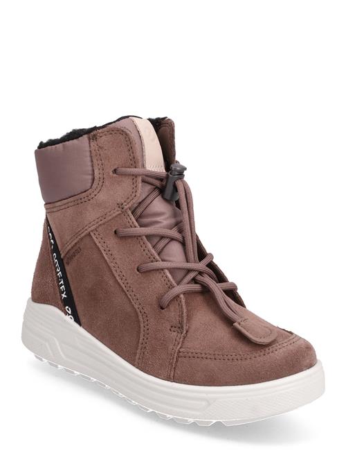 ECCO Urban Snowboarder ECCO Brown