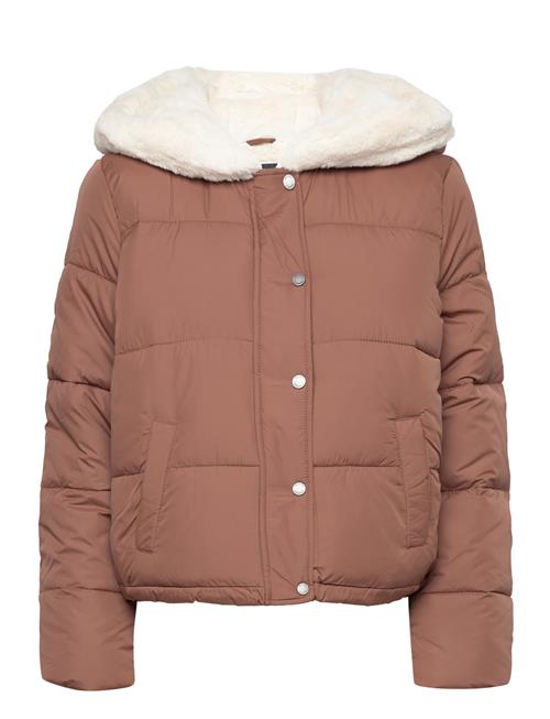 Hollister Hco. Girls Outerwear Hollister Beige