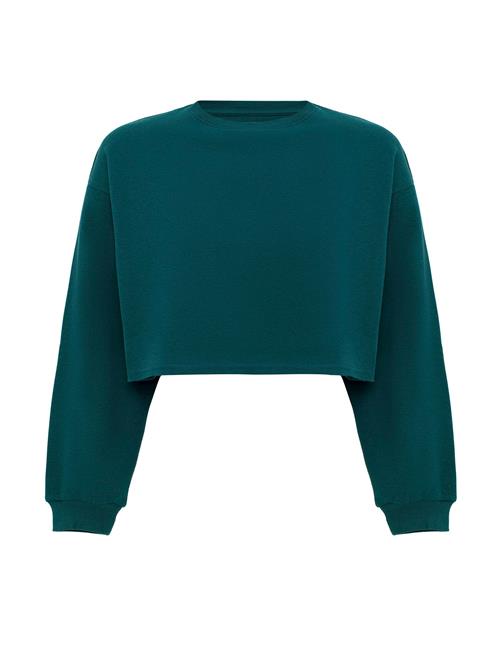 Jacey Quinn Sweatshirt 'Elsa'  grøn