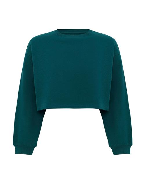 Jacey Quinn Sweatshirt  grøn