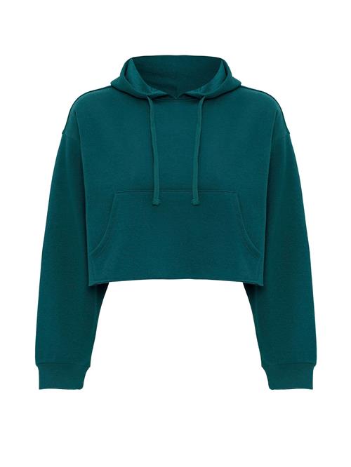 Jacey Quinn Sweatshirt 'Heide'  grøn