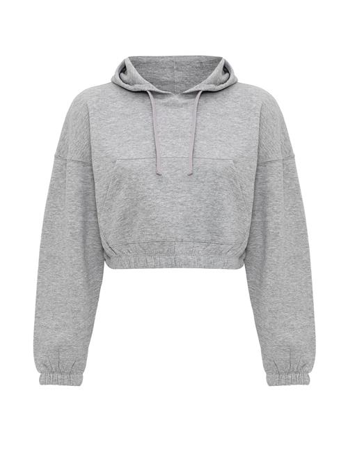 Jacey Quinn Sweatshirt 'Dora'  grå